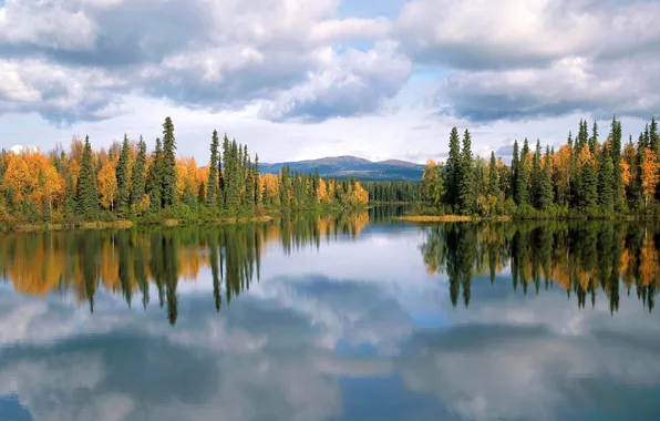 Autumn, forest, trees, lake, reflection, Canada, Yukon, Dragon lake
