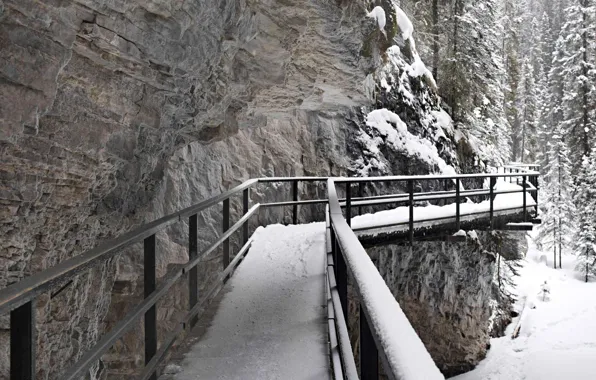 Picture winter, snow, rock, Canada, Albert, the bridge, Johnson Canyon