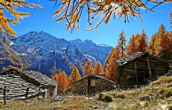 Picture autumn, mountains, Alps, Italy, Italy, Cogne, Valle d'aosta, sheds