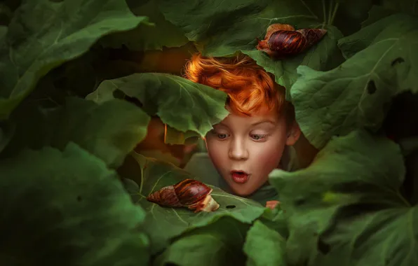 Leaves, face, surprise, snails, boy, red, redhead, Lyubov Pyatovskaya
