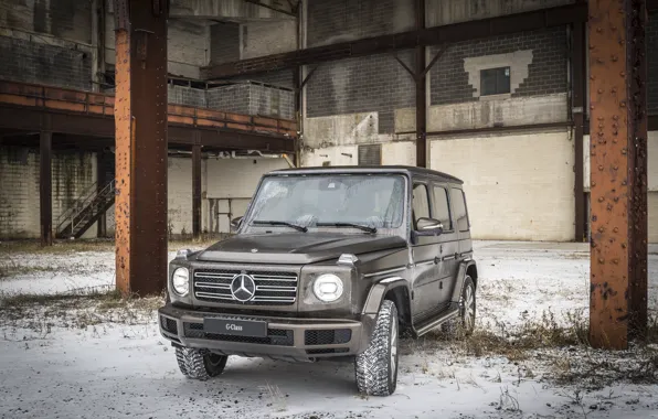 Picture snow, wall, vegetation, Mercedes-Benz, support, 2018, G-Class