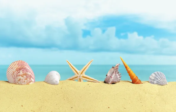 Sand, sea, beach, summer, the sky, the sun, shore, shell