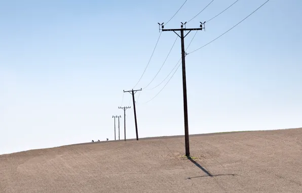 Field, cyclists, power lines