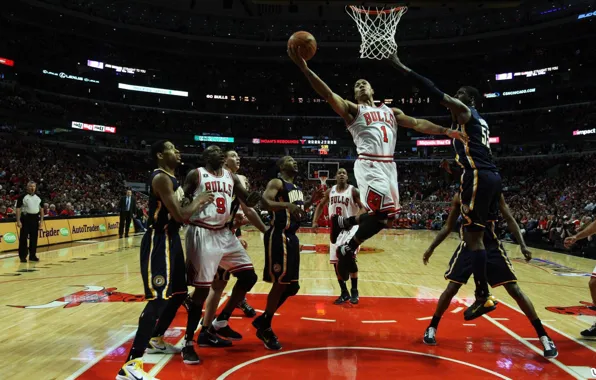 Picture sport, Basketball, Chicago Bulls
