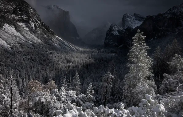 Forest, snow, mountains, valley, CA, California, Yosemite Valley, Yosemite National Park