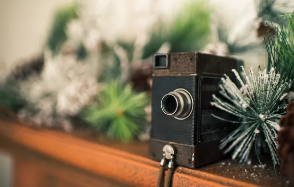 Winter, frost, branches, holiday, Christmas, the camera, New year, needles