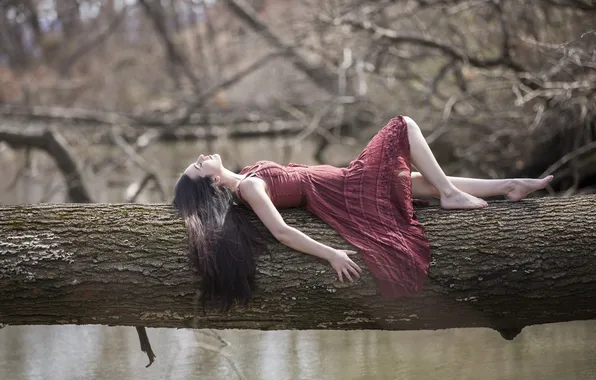 Picture girl, pose, tree, dress, lies