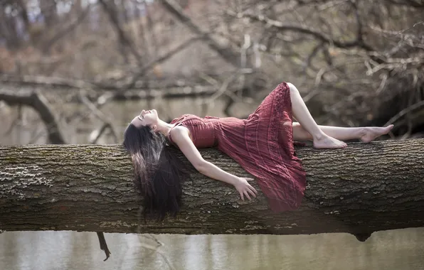 Girl, trees, pose, dress, lies