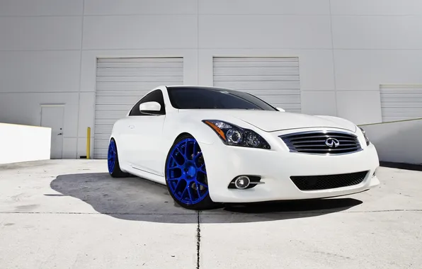 Picture white, composition, Infiniti, white, infiniti, G37, G-Series