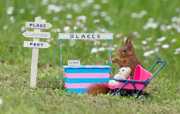 Summer, grass, look, flowers, pose, the inscription, glade, toy
