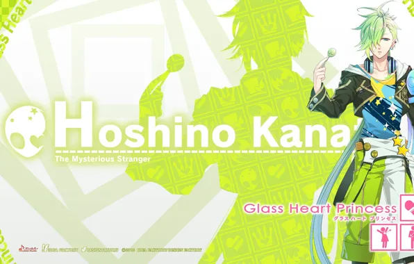 The game, anime, art, Style, guy, Glass Heart Princess