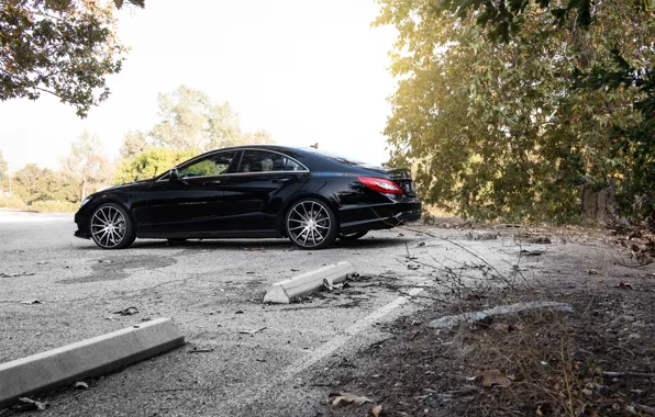 Side, black, Mercedes Benz, Mercedes, CLS550