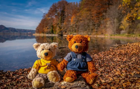 Autumn, Park, shore, foliage, toy, toys, bear, bears