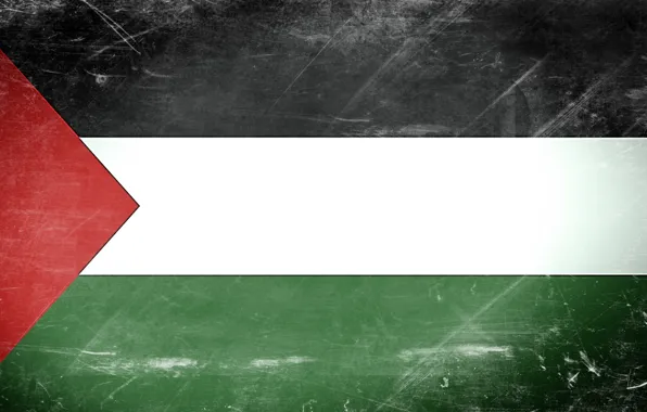 Flag, Texture, Palestine, Gaza