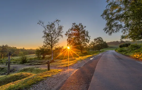 Road, summer, the sun, rays, light, trees, sunset, highway