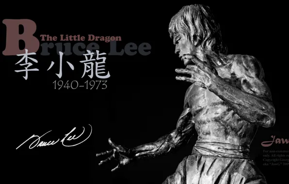Picture memory, statue, legend, Bruce Lee, bruce lee