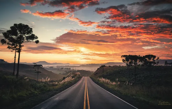 Road, clouds, trees, sunset, the evening