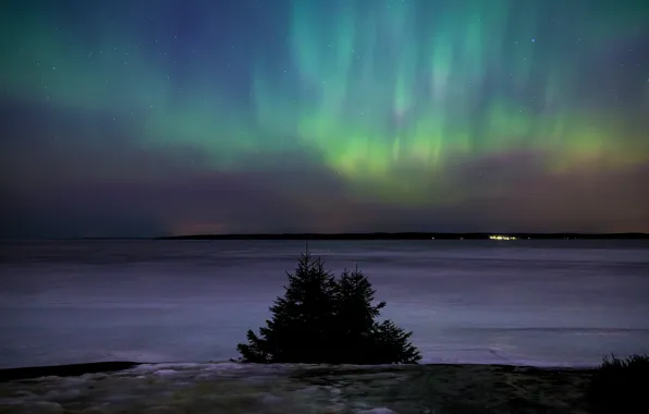 Winter, stars, night, Northern lights, Finland