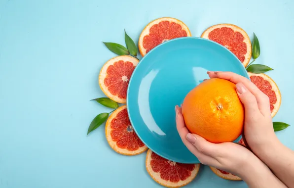 Leaves, oranges, hands, plate, circles, citrus, blue background, slices