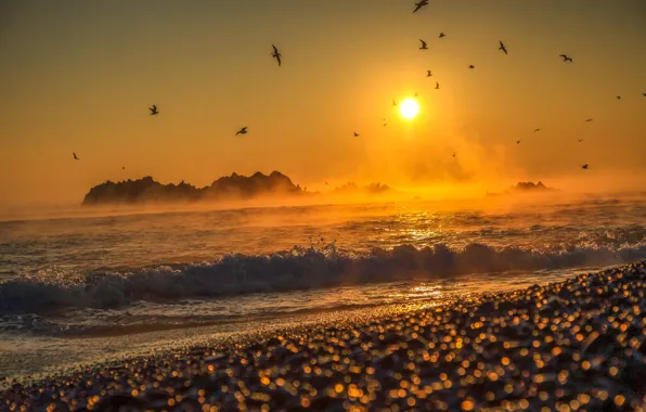 Picture sea, the sun, landscape, sunset, birds, nature, pebbles, rocks