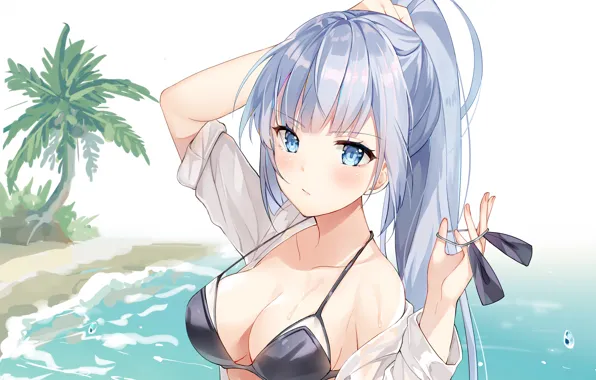 Picture girl, sexy, cleavage, beach, long hair, boobs, anime, beautiful