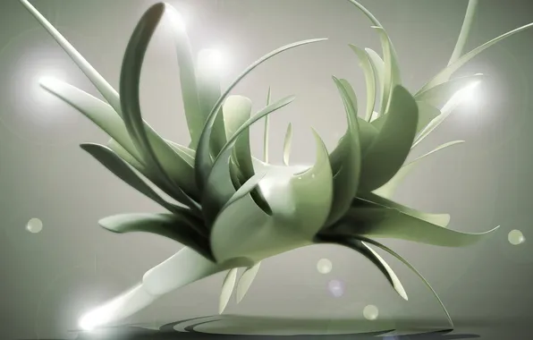 Light, abstraction, form