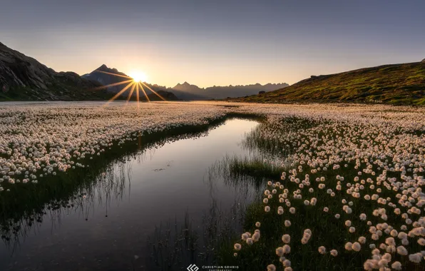 The sun, rays, mountains, river, cotton, Christian Gehrig
