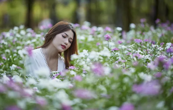 Field, summer, girl, flowers, nature, face, Park, glade