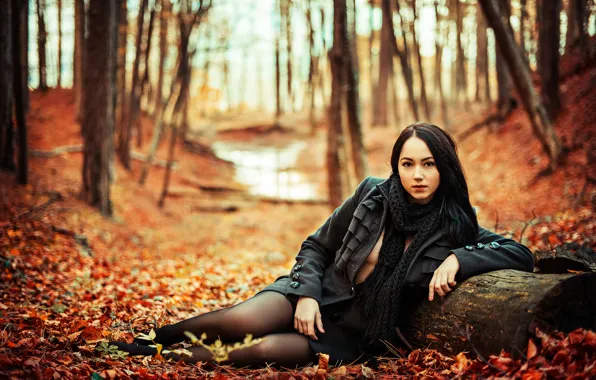 Autumn, leaves, girl, neckline, legs, the crimson, Ilya Zhirnov