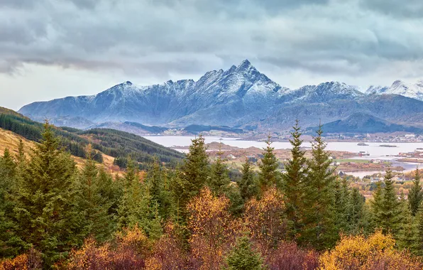 Autumn, forest, clouds, snow, mountains, overcast, the slopes, tops
