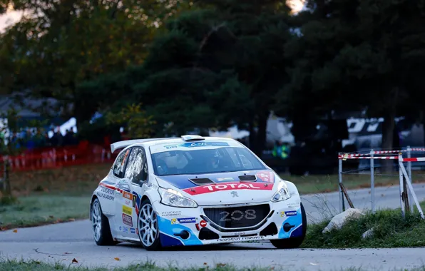 Turn, Peugeot, Rally, 208, ERC, t16