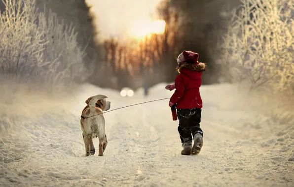 Winter, road, snow, trees, nature, child, dog