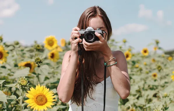 Picture summer, girl, sunflowers, camera