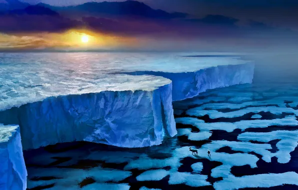 Picture ice, sea, sunset, wall, animal, people, deer, ice
