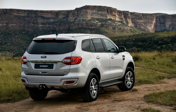 Picture grass, mountains, Ford, ass, Everest, 4WD, XLT, 2019