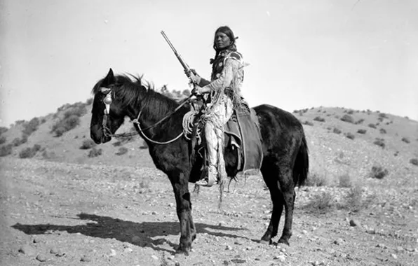 Picture horse, warrior, leader, proud, native american, first people