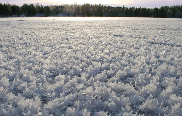Winter, Snow, Landscape
