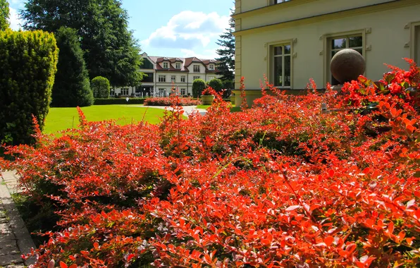 House, park, plant