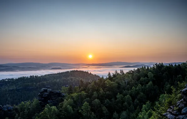 Forest, the sky, trees, mountains, fog, dawn, hills, dal