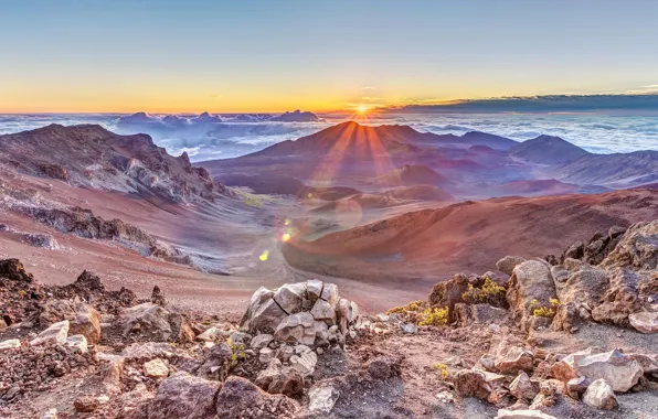 The sun, dawn, mountain, top, panorama