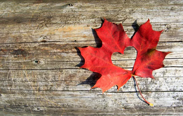 Picture autumn, leaves, love, heart, red, love, maple, heart