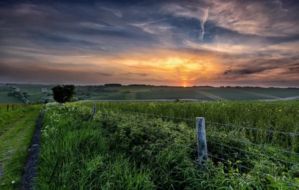Picture road, field, summer, sunset, the fence