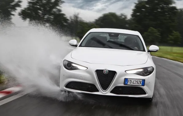 White, Puddle, Alfa Romeo, Alfa Romeo, Giulia, FAS