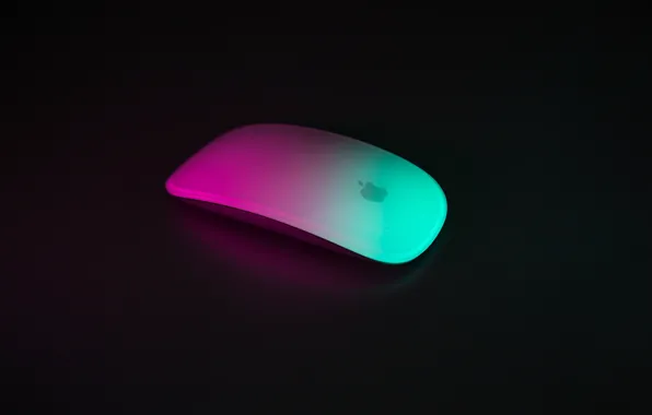 Computer, apple, mouse