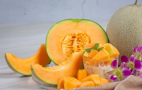 Flowers, slices, composition, melon