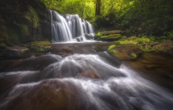 Forest, river, waterfall, cascade, Tennessee, Tn, Great Smoky Mountains National Park