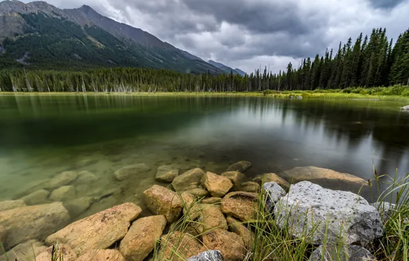 Forest, mountains, lake, stones