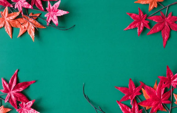 Autumn, leaves, background, red, maple, background, autumn, leaves