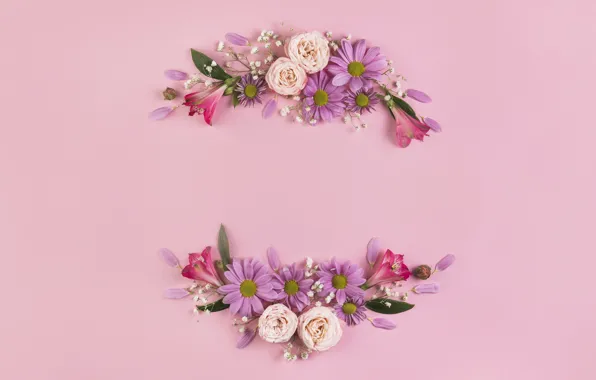Flowers, roses, petals, pink, pink background, pink, flowers, romantic