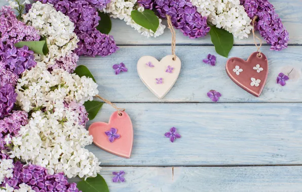 Flowers, branches, heart, love, white, flowers, lilac, romantic